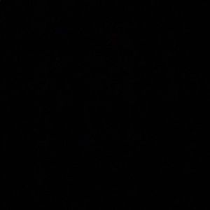 Meet your Posher, Aly